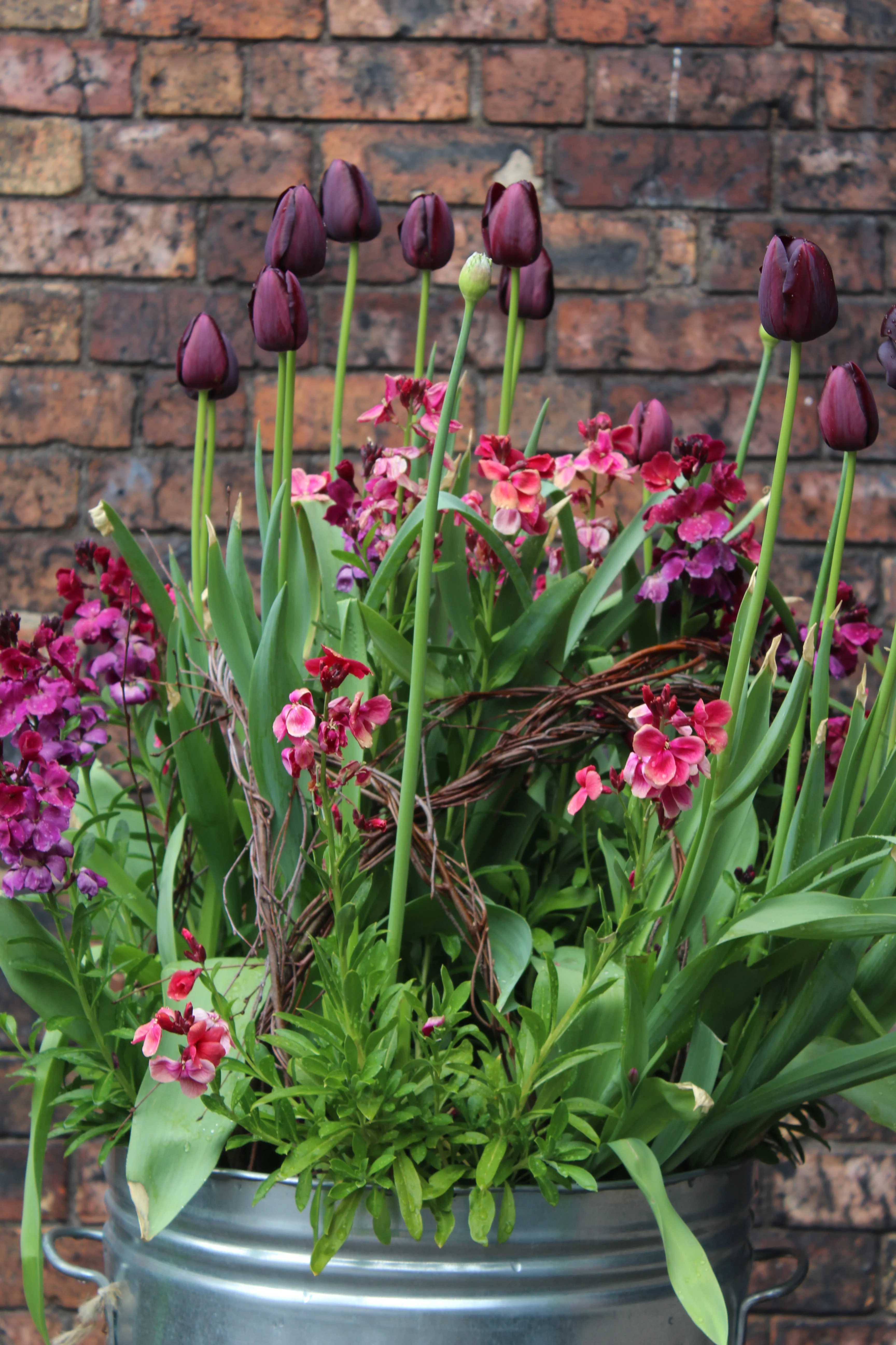 Arthur Parkinson's Tulip & Cutting Garden Masterclass - Image 6