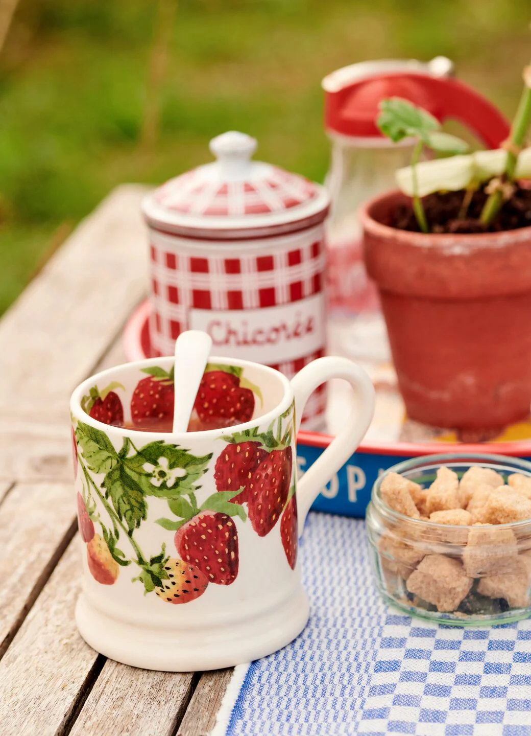 Seconds Strawberries 1/2 Pint Mug