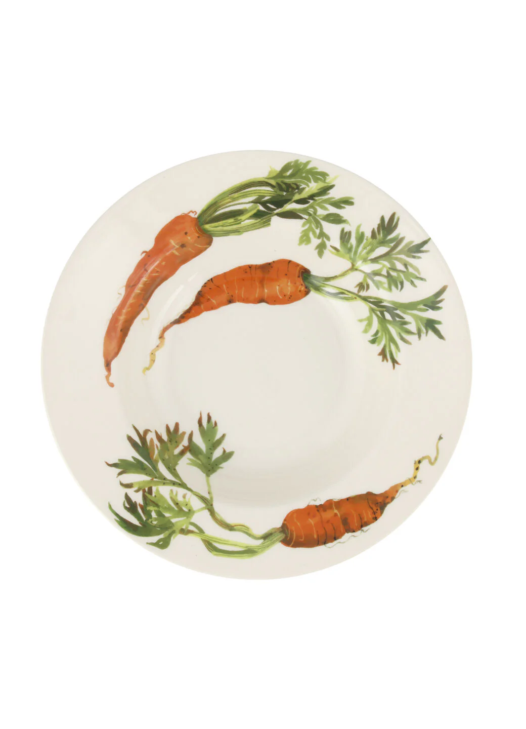 Seconds Vegetable Garden Carrots Soup Plate - Image 4